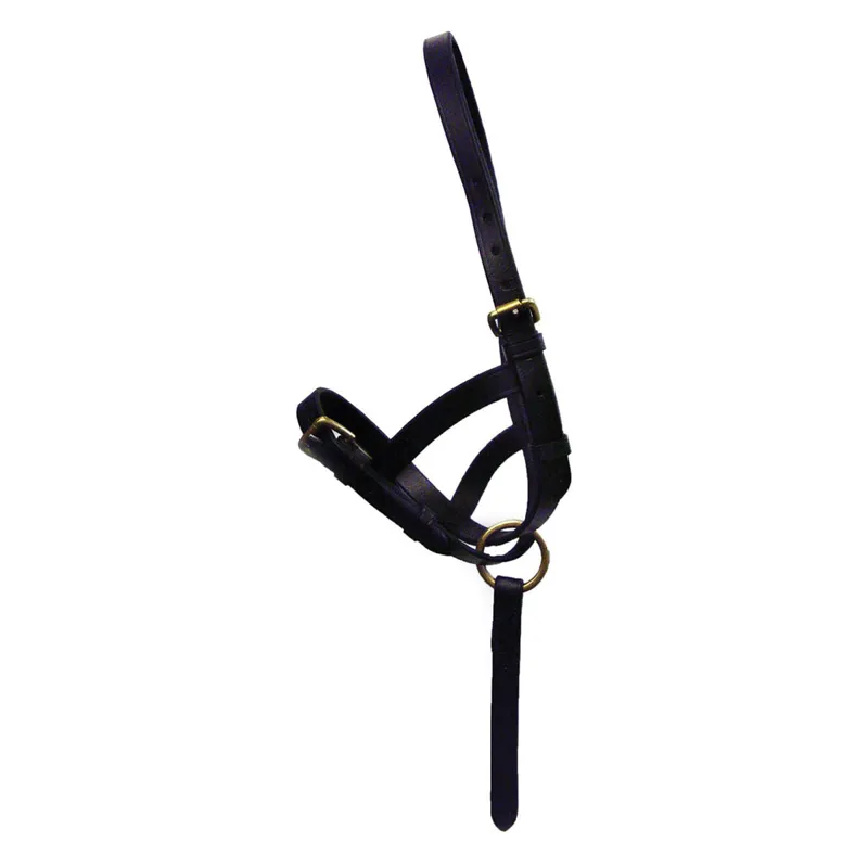 Hy Equestrian Leather Foal Slip - Black